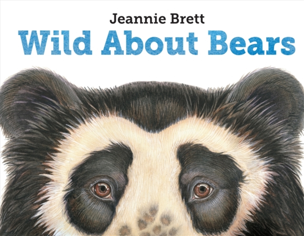 Wild About Bears/Product Detail/Childrens Fiction Books