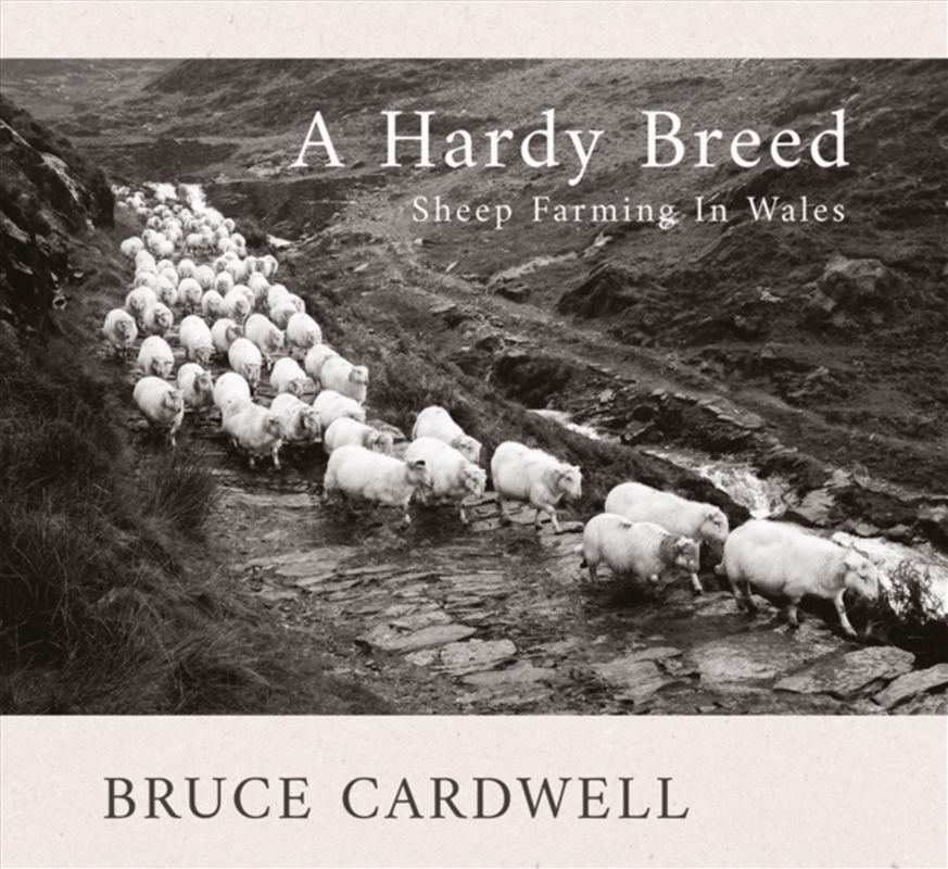 A Hardy Breed : Sheep Farming In Wales/Product Detail/Gardening