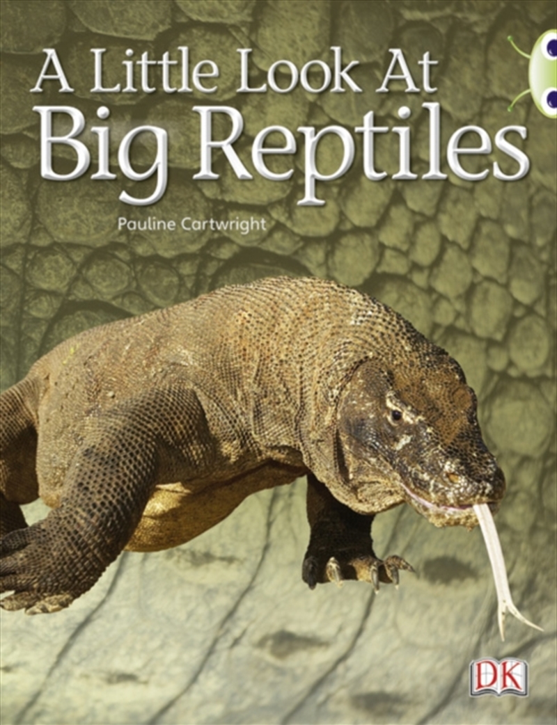 Bug Club Guided Non Fiction Year 1 Blue B A Little Look At Big Reptiles/Product Detail/Childrens Fiction Books