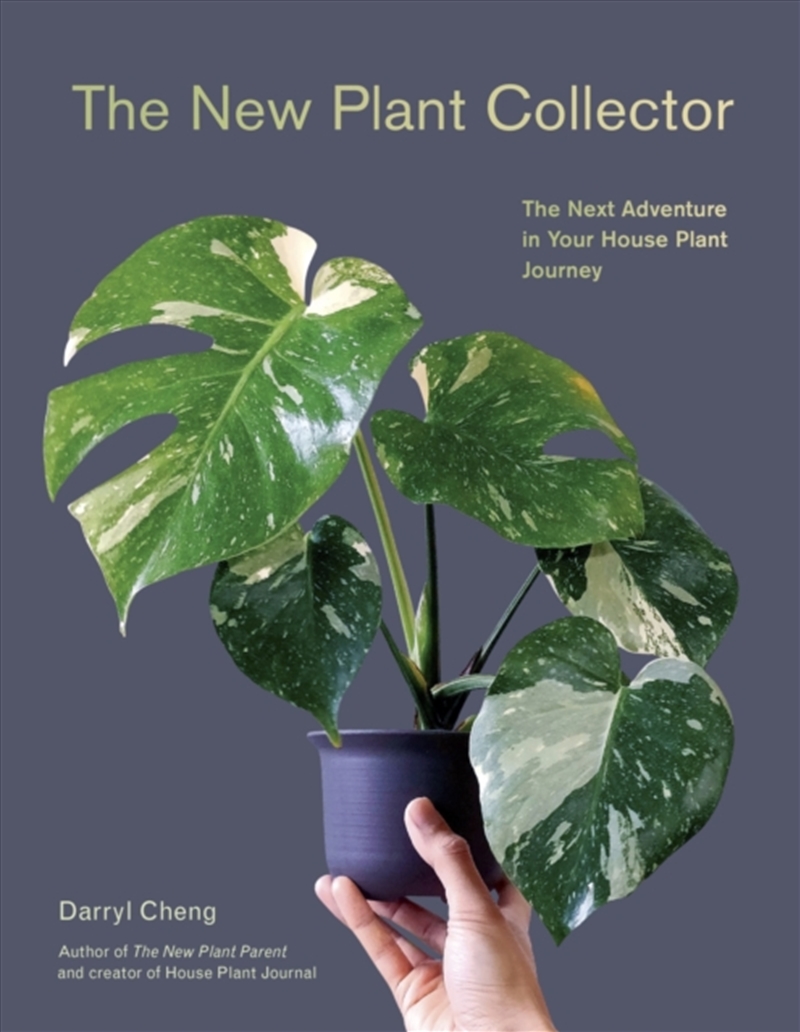 The New Plant Collector : The Next Adventure In Your House Plant Journey/Product Detail/Gardening
