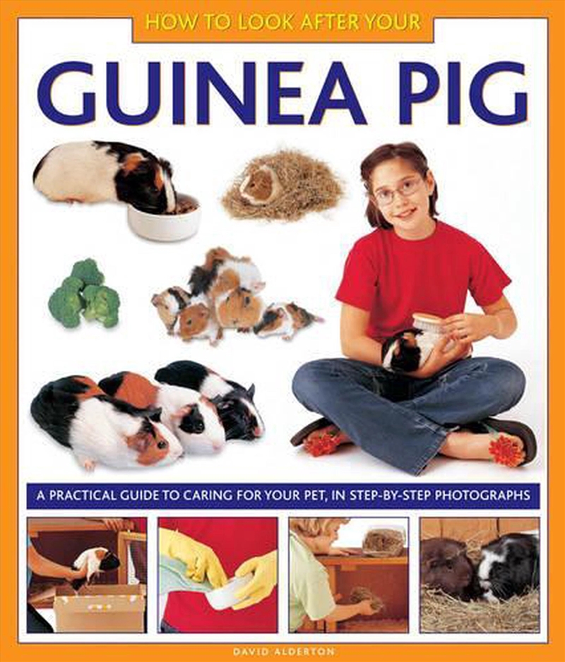 How To Look After Your Guinea Pig/Product Detail/Childrens