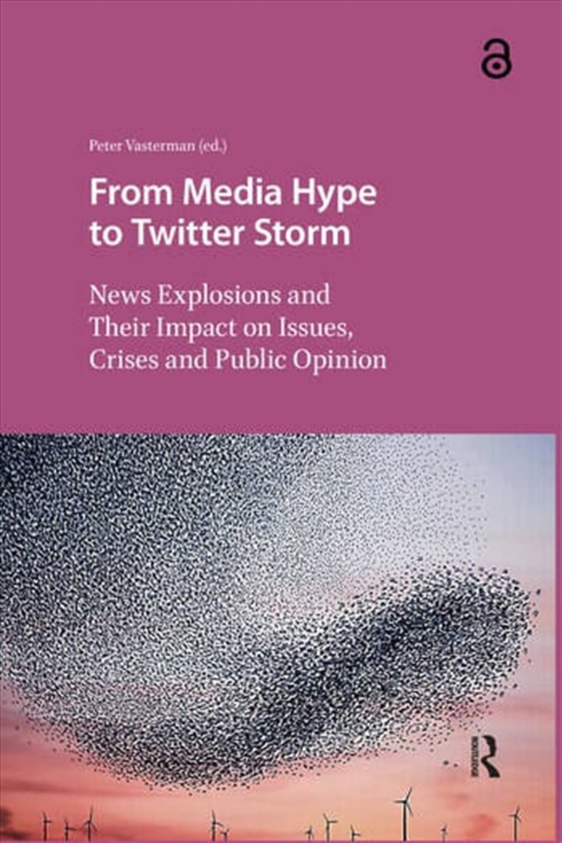 From Media Hype To Twitter Storm : News Explosions And Their Impact On Issues, Crises And Public Opi/Product Detail/Politics & Government