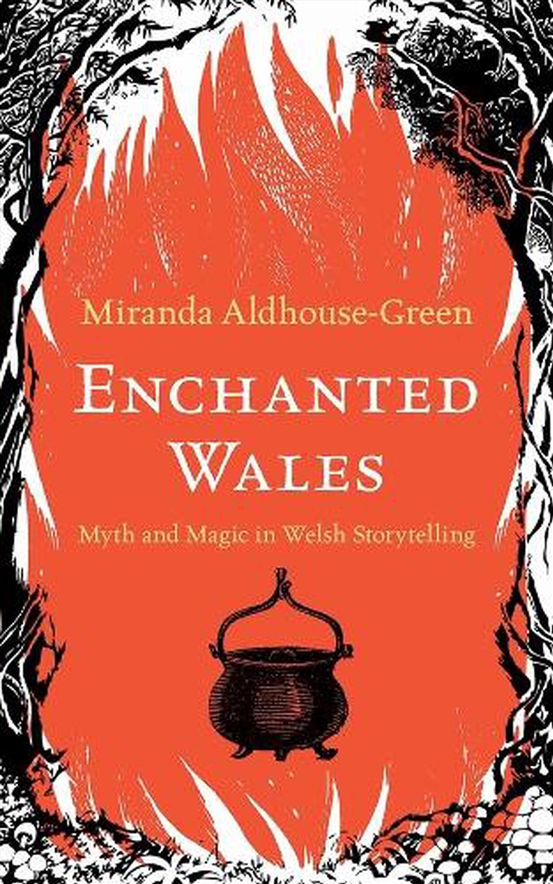 Enchanted Wales : Myth And Magic In Welsh Storytelling/Product Detail/Adult Books
