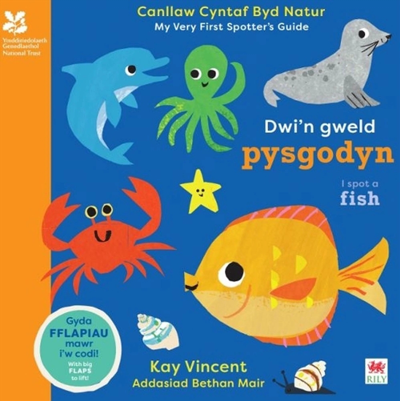 Dwi'N Gweld Pysgodyn / I Spot A Fish/Product Detail/Early Childhood Fiction Books