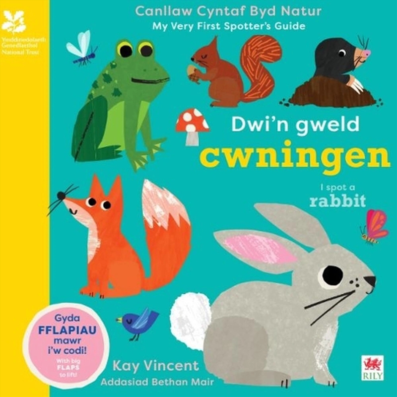 Dwi'N Gweld Cwningen / I Spot A Rabbit/Product Detail/Early Childhood Fiction Books