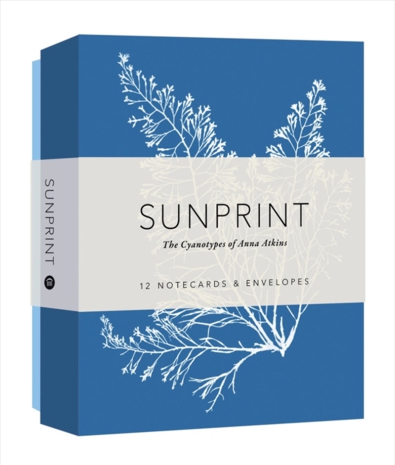 Sunprint Notecards : The Cyanotypes Of Anna Atkins/Product Detail/Stationery