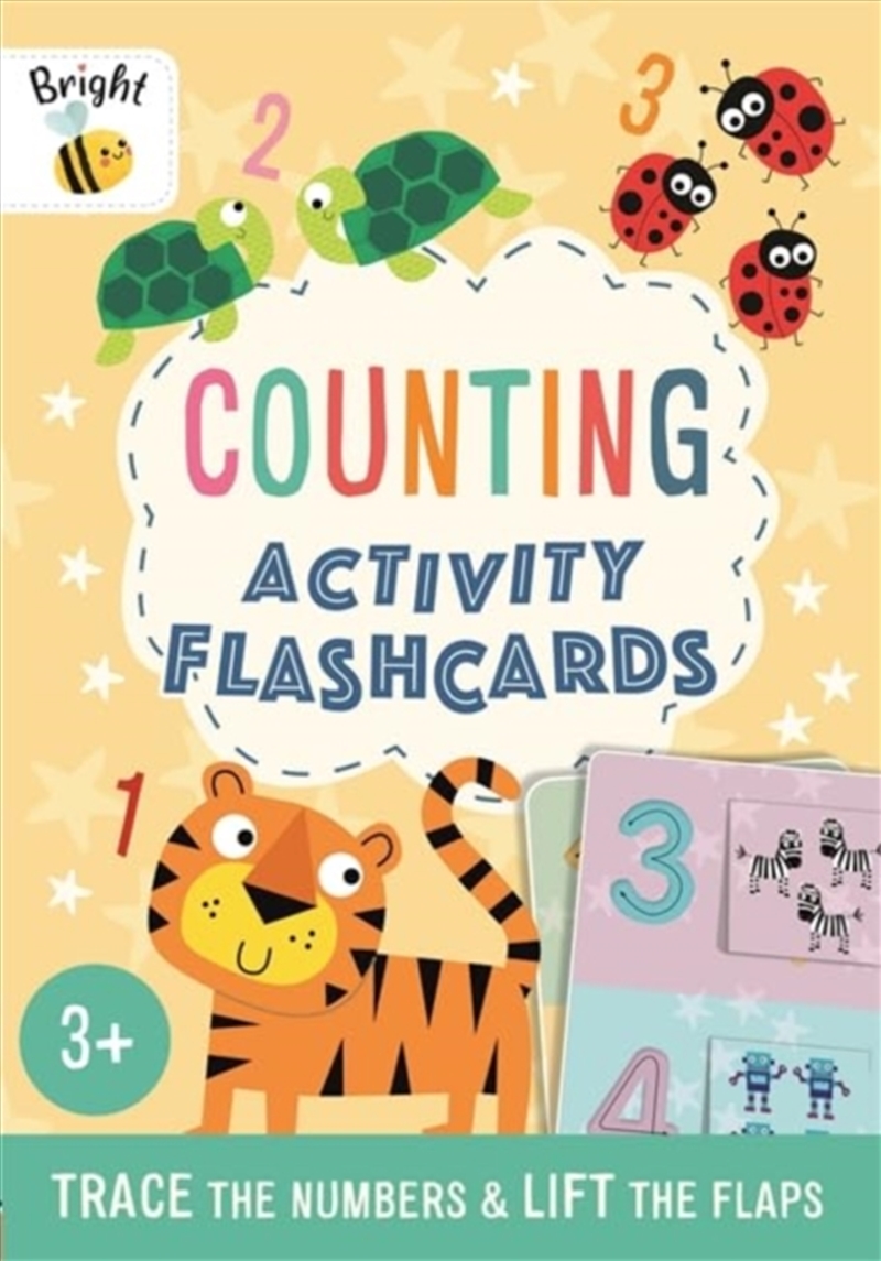 Counting Activity Flashcards/Product Detail/Kids Educational