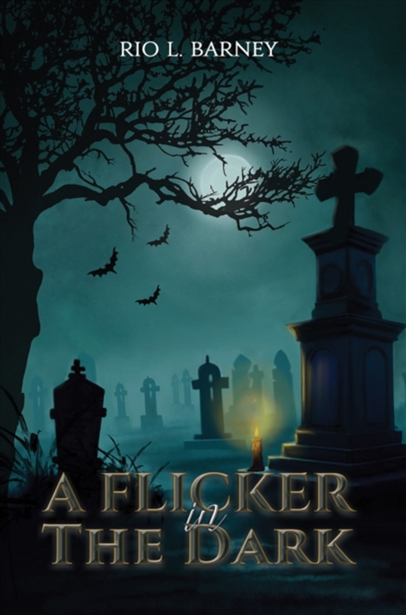 A Flicker In The Dark/Product Detail/Young Adult Fiction