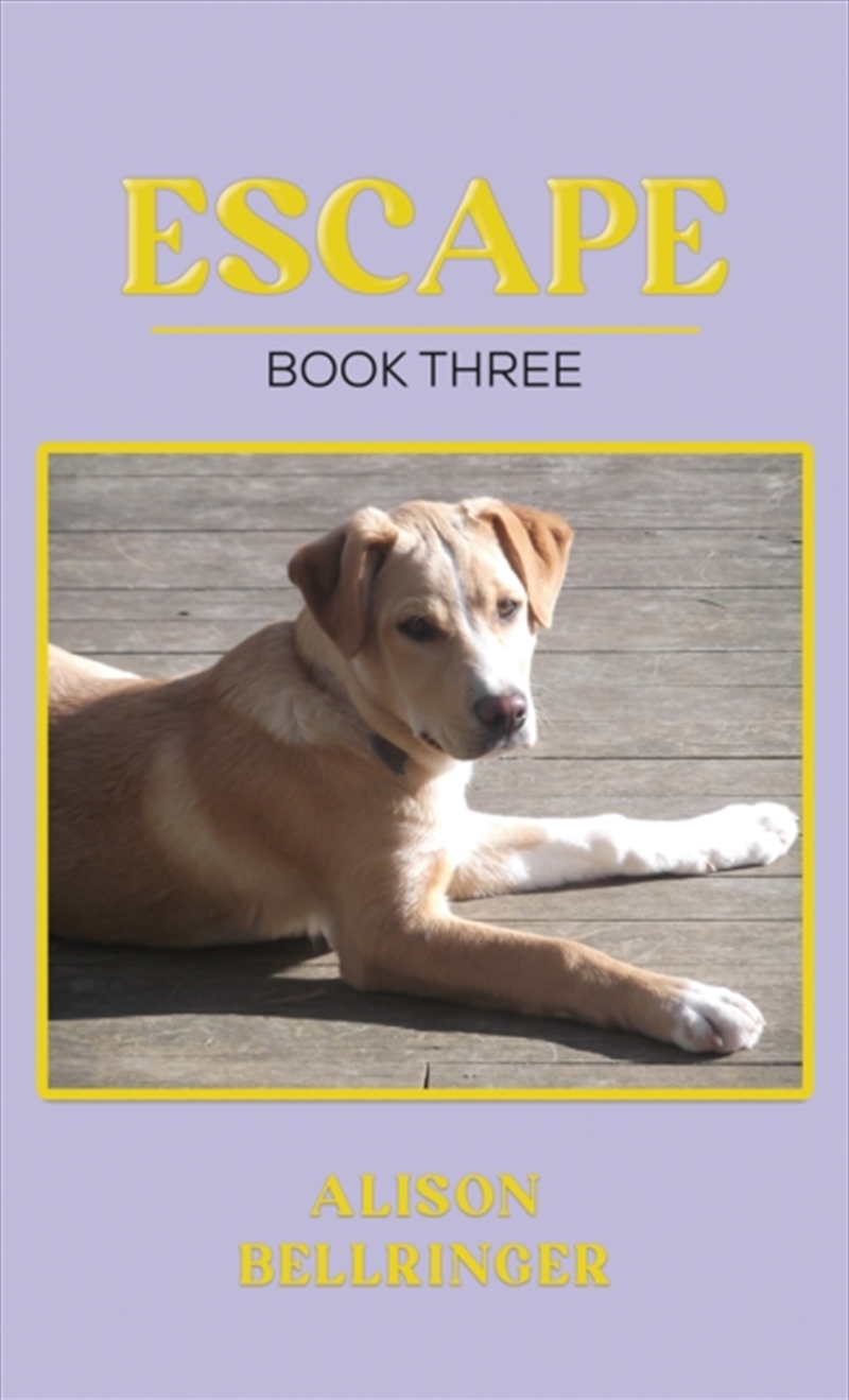 Escape/Product Detail/Young Adult Fiction