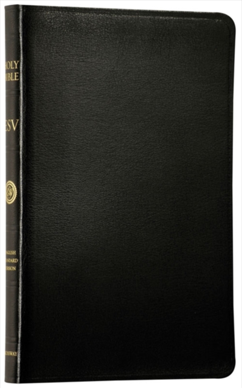 Esv Thinline Bible, Red Letter/Product Detail/Religion & Beliefs