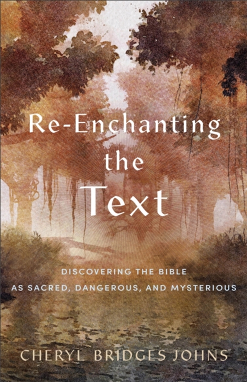 Re–Enchanting The Text – Discovering The Bible As Sacred, Dangerous, And Mysterious/Product Detail/Religion & Beliefs