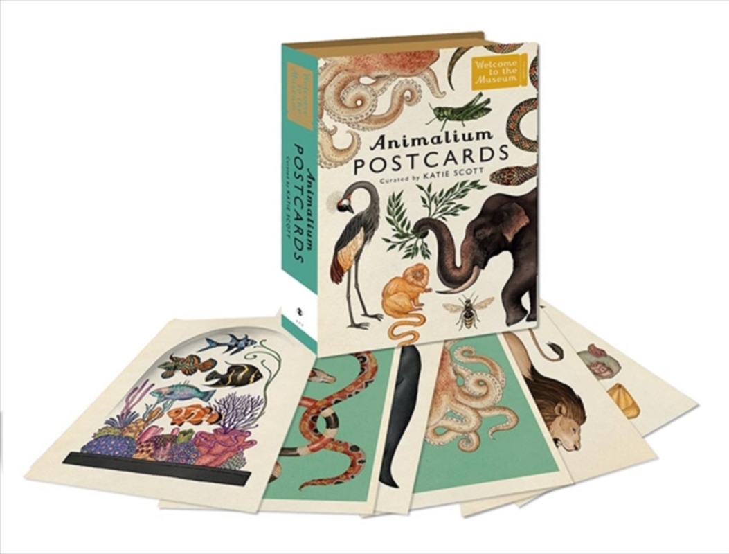 Animalium Postcards/Product Detail/Stationery