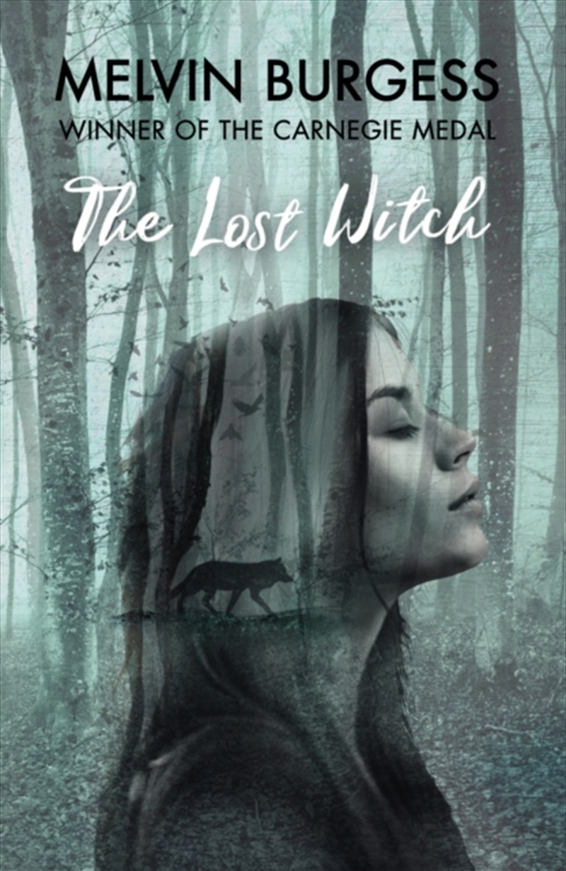 The Lost Witch/Product Detail/Young Adult Fiction