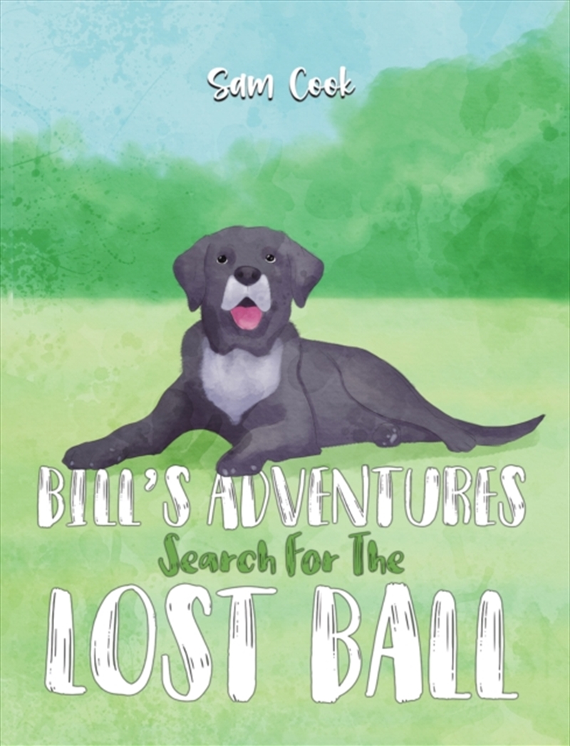 Bill’S Adventures: Search For The Lost Ball/Product Detail/Childrens Fiction Books