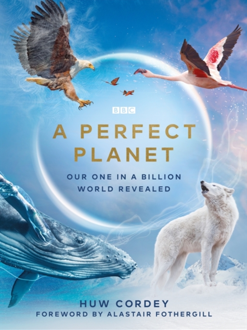 A Perfect Planet/Product Detail/Arts & Entertainment