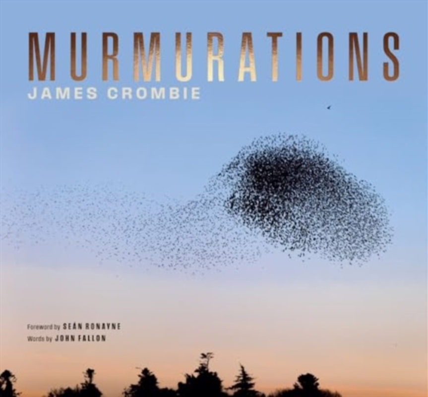 Murmurations/Product Detail/Photography
