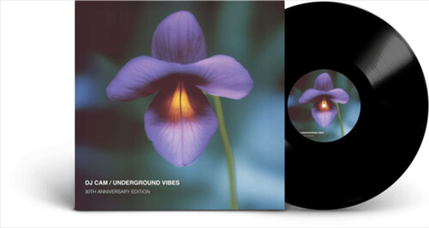 Underground Vibes - 30th Anniversary/Product Detail/Dance