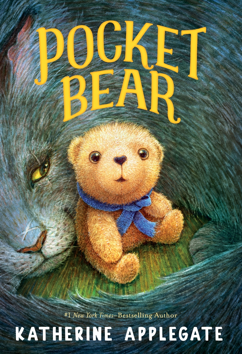 Pocket Bear/Product Detail/Childrens Fiction Books