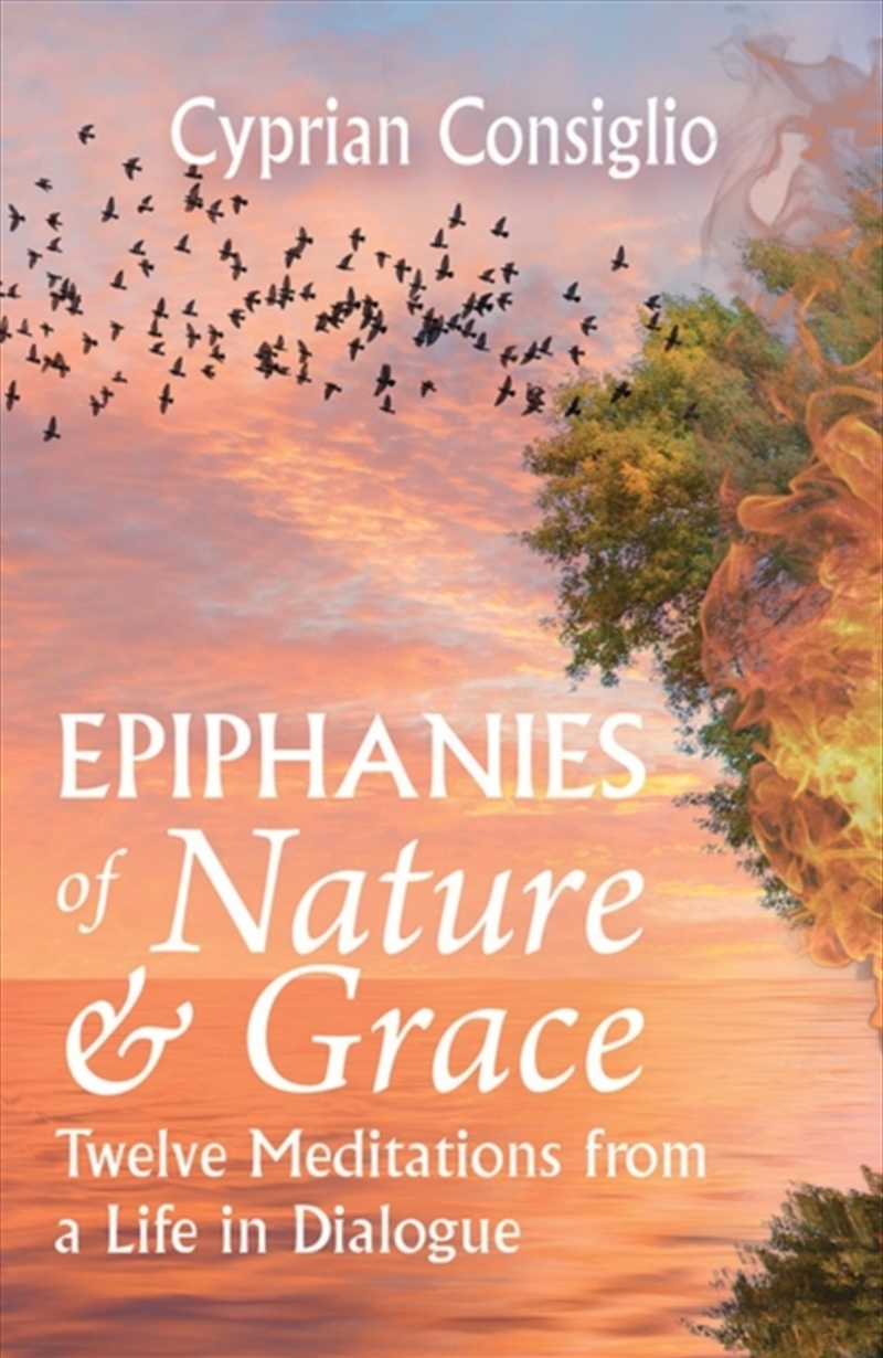 Epiphanies Of Nature And Grace/Product Detail/Religion & Beliefs