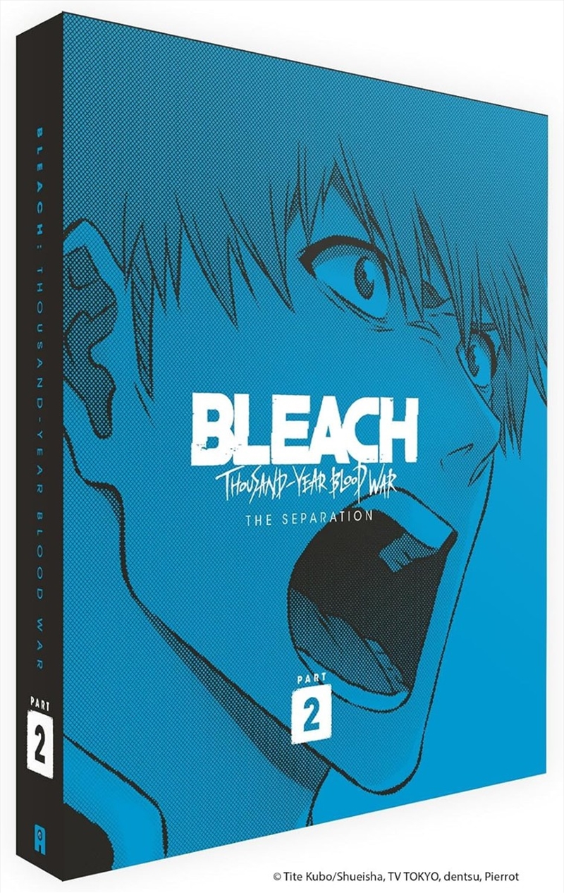 Bleach Thousand Year Blood War Part 2 Collectors Edition/Product Detail/Anime