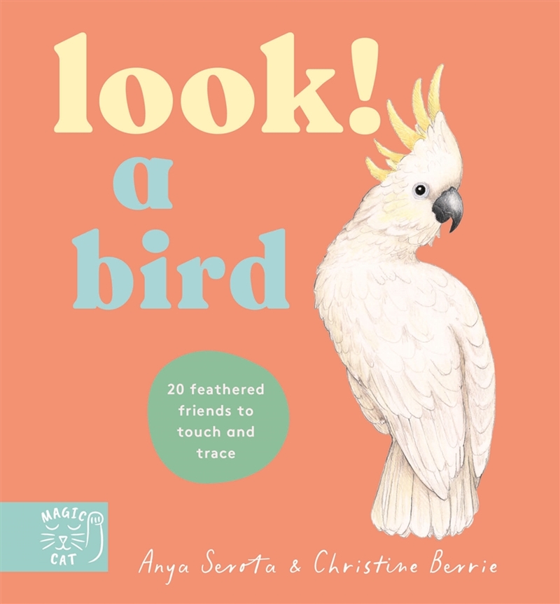 Look! A Bird!/Product Detail/Early Childhood Fiction Books