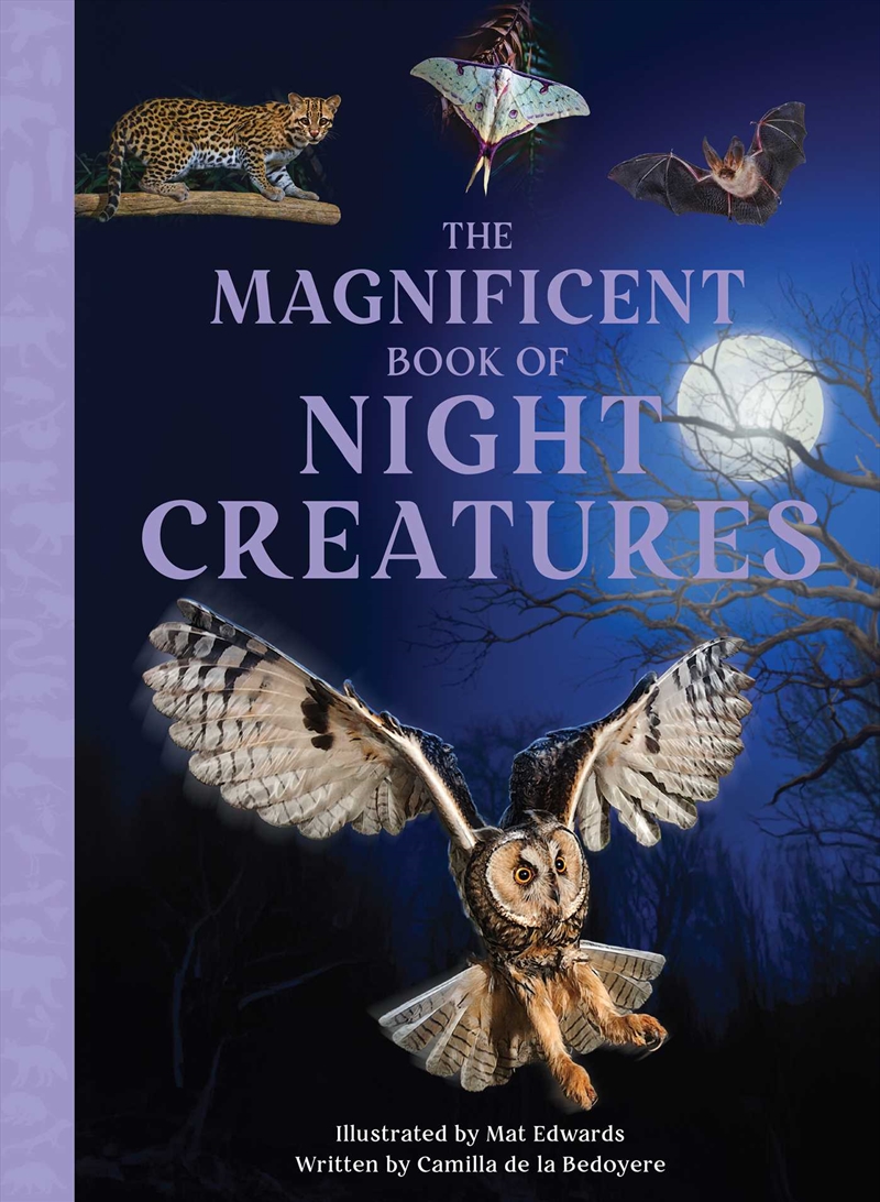 The Magnificent Book Of Night Creatures/Product Detail/Animals & Nature