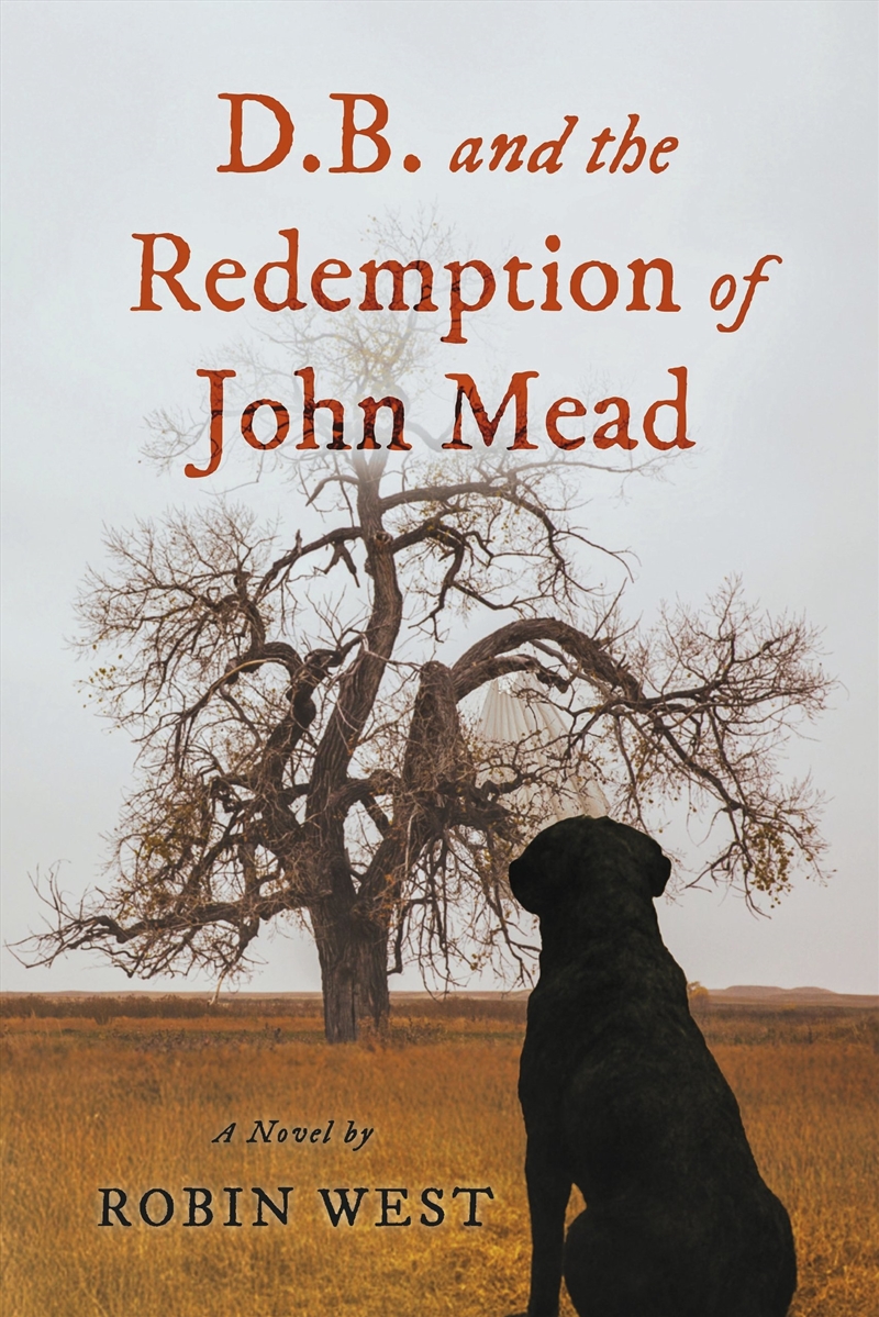 D.B. And The Redemption Of John Mead/Product Detail/Historical Fiction
