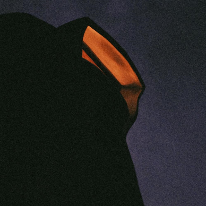 Obrigaggi - Coke Bottle Clear Vinyl/Product Detail/Rock/Pop