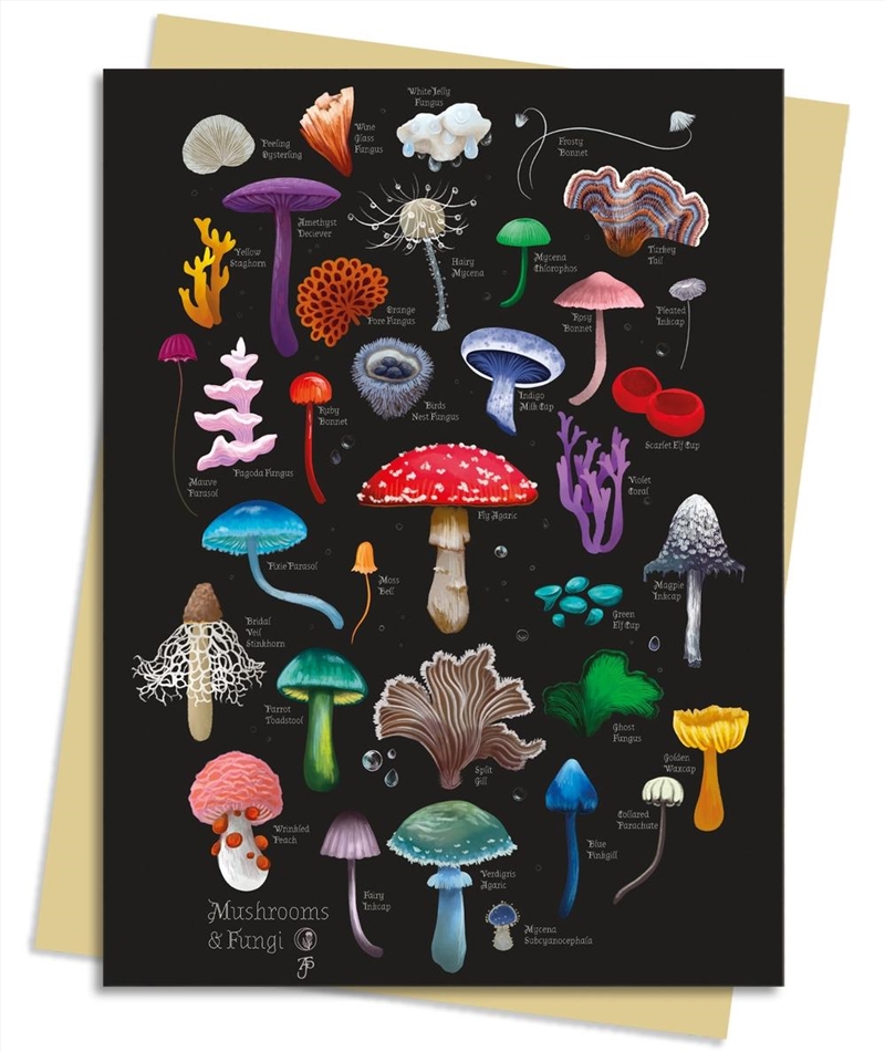 Anna Stead: Mushrooms & Fungi Greeting Card Pack: Pack Of 6/Product Detail/Stationery