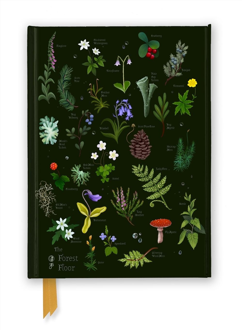 Foiled Journal: Anna Stead, The Forest Floor/Product Detail/Notebooks & Journals