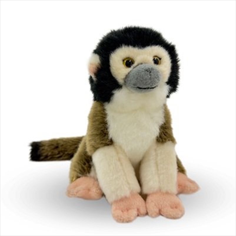 Squirrel Monkey 15 cm/Product Detail/Plush Toys