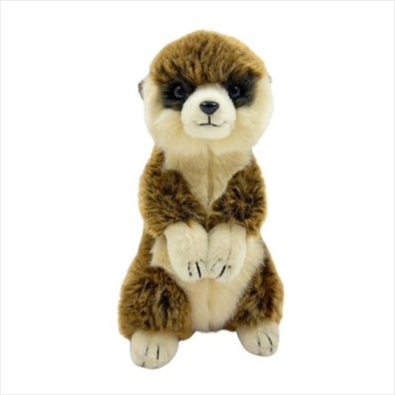 Meerkat 15 cm/Product Detail/Plush Toys
