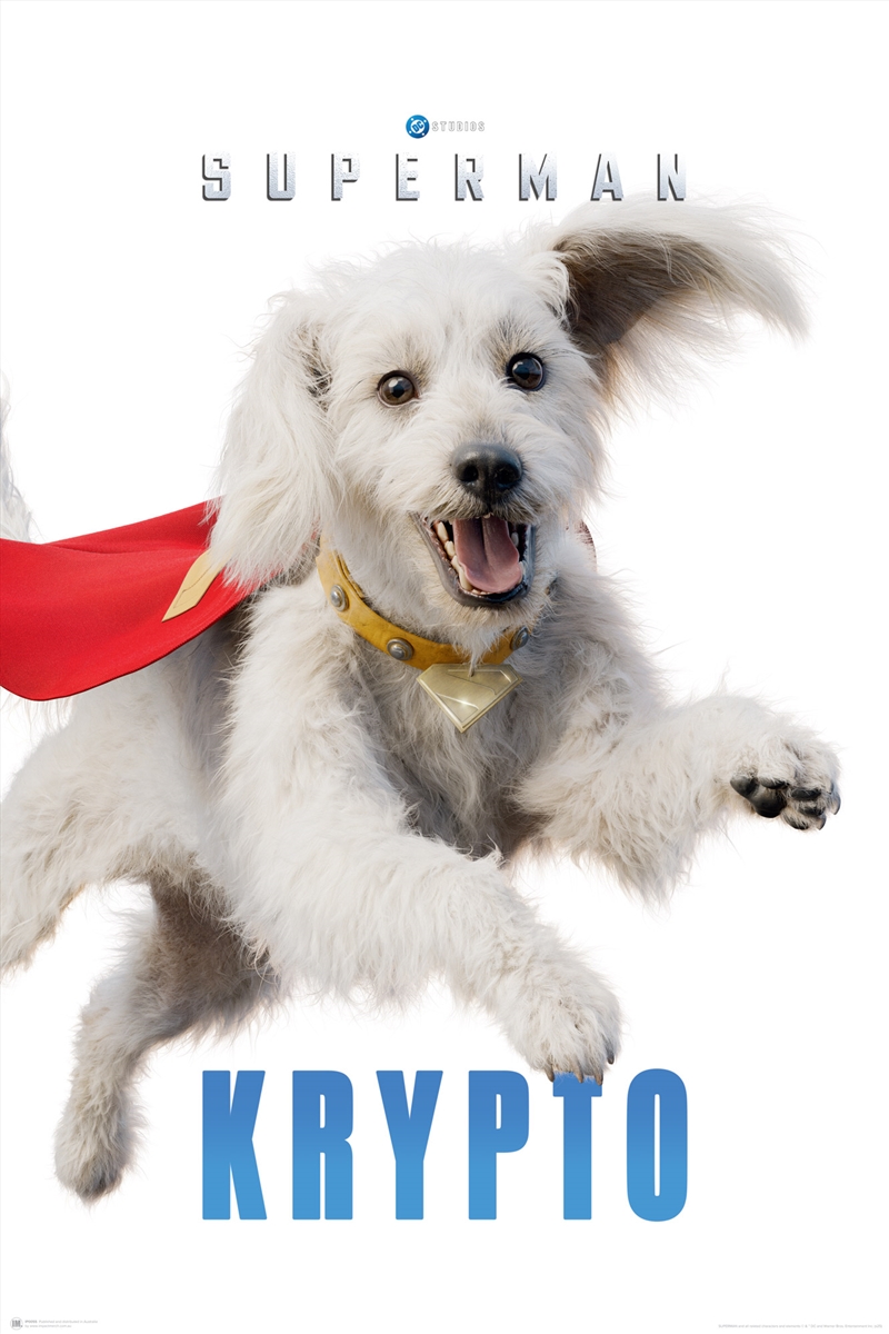 Superman Movie - Krypto - Reg Poster/Product Detail/Posters & Prints