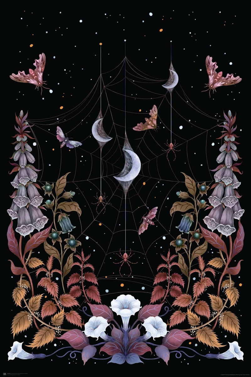 Episodic Drawing - Witchy Garden - Reg Poster/Product Detail/Posters & Prints