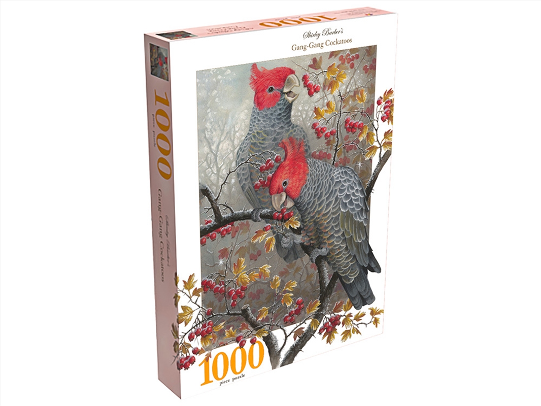 Gang-Gang Cockatoos 1000Pc/Product Detail/Jigsaw Puzzles