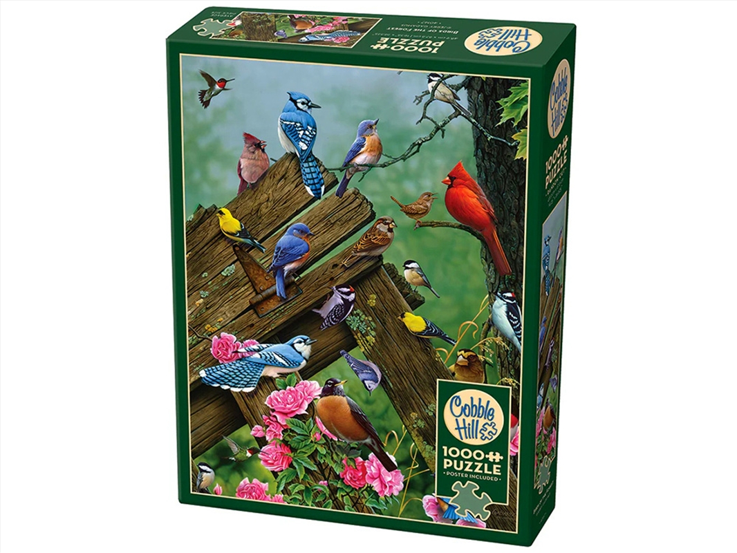 Birds Of The Forest 1000Pc/Product Detail/Jigsaw Puzzles