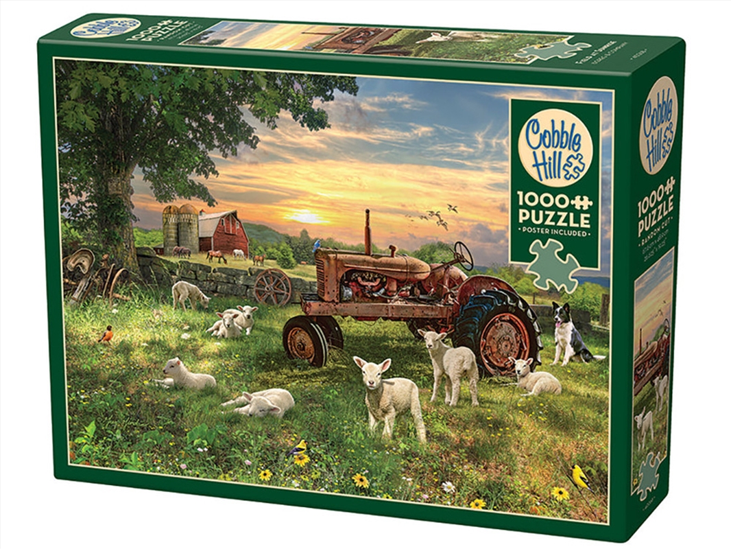 Field At Sunrise 1000Pc/Product Detail/Jigsaw Puzzles