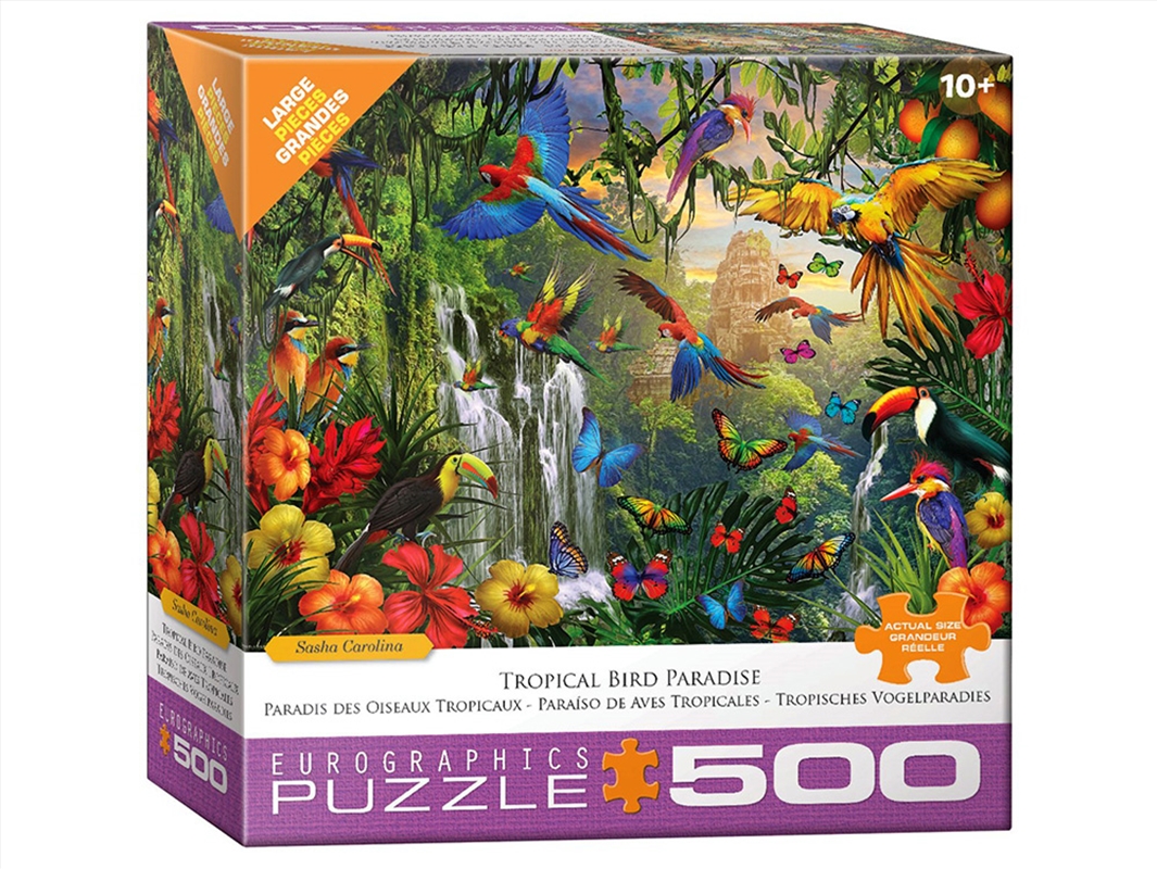 Tropical Bird Paradise 500Pcxl/Product Detail/Jigsaw Puzzles