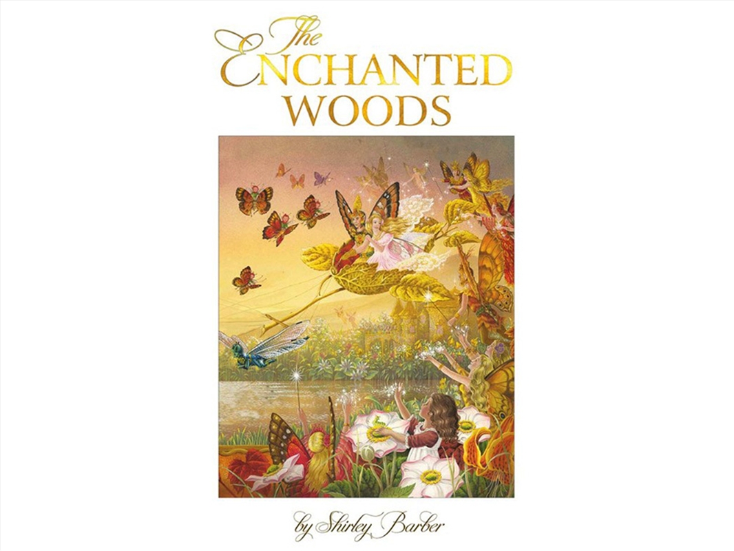 The Enchanted Woods Lenticular/Product Detail/Early Childhood Fiction Books
