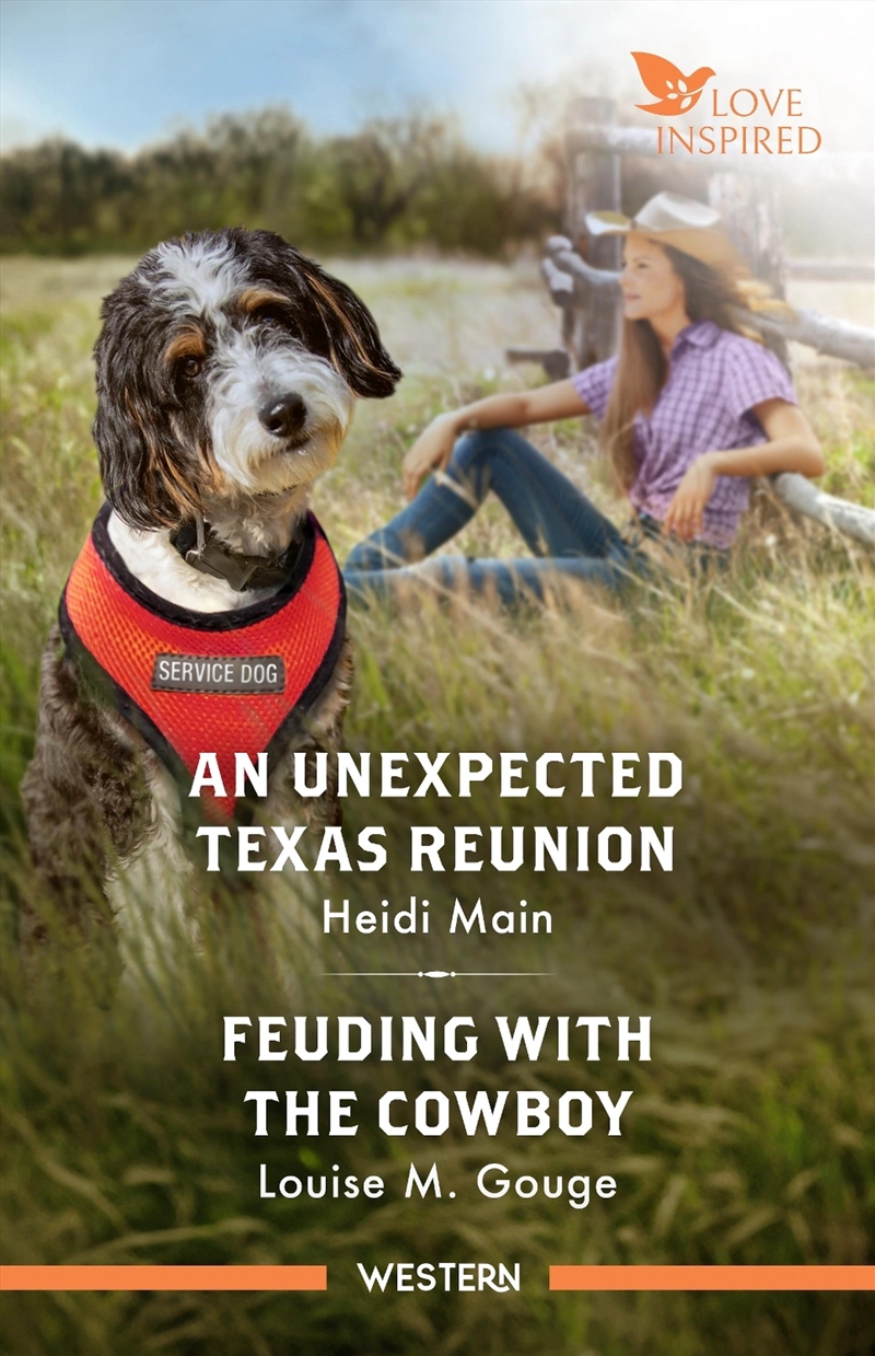 An Unexpected Texas Reunion/Feuding With The Cowboy/Product Detail/Romance