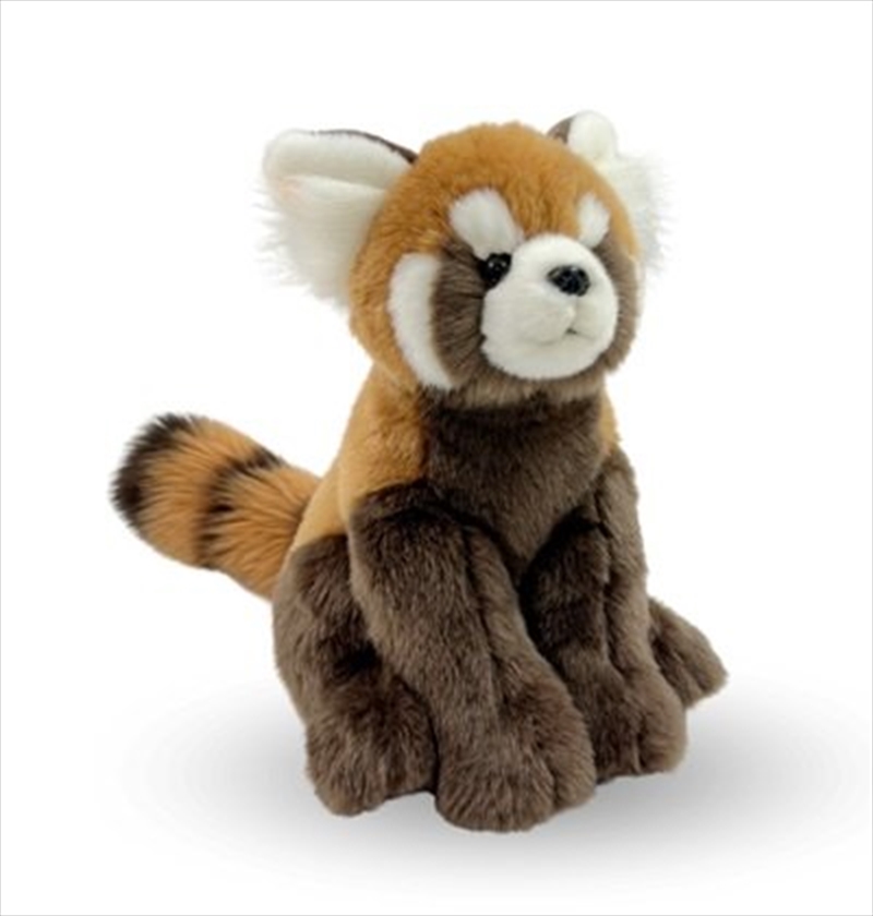Red Panda 30 cm/Product Detail/Plush Toys