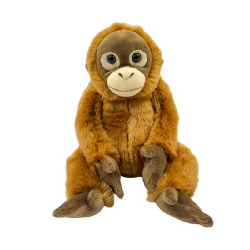 Orangutan 30 cm/Product Detail/Plush Toys