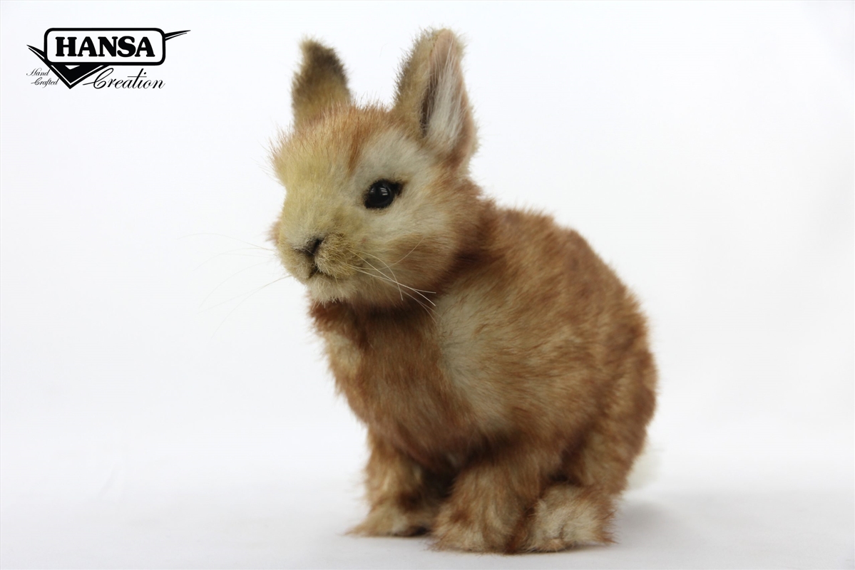 Pygmy Rabbit Cream 18 cm L/Product Detail/Plush Toys