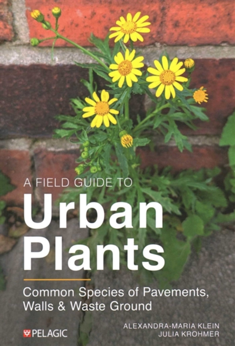 A Field Guide To Urban Plants : Common Species Of Pavements, Walls And Waste Ground/Product Detail/Animals & Nature