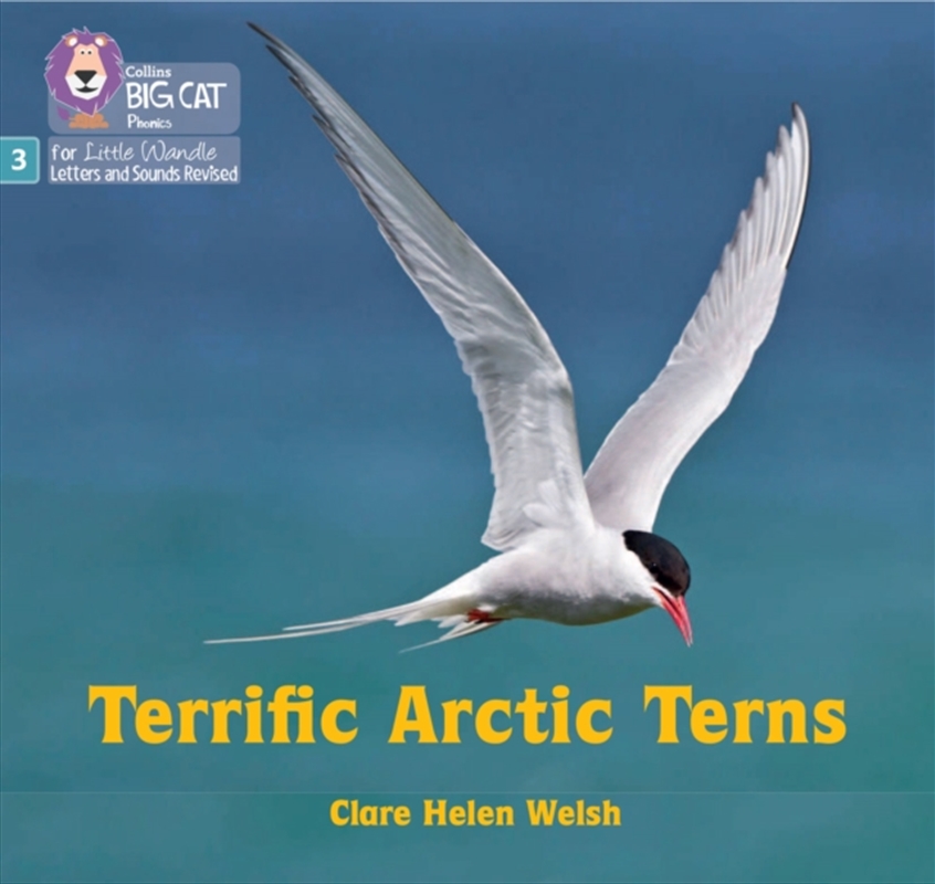 Terrific Arctic Terns : Phase 3 Set 2/Product Detail/English