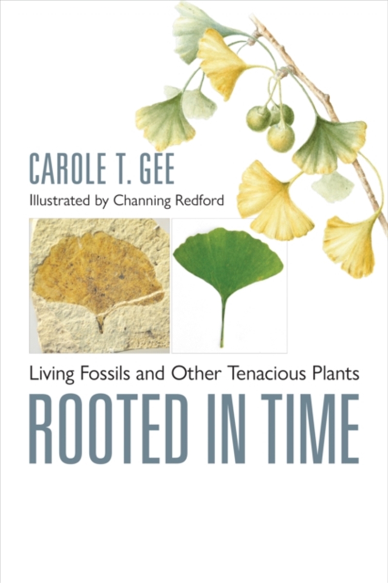 Rooted In Time : Living Fossils And Other Tenacious Plants/Product Detail/Animals & Nature