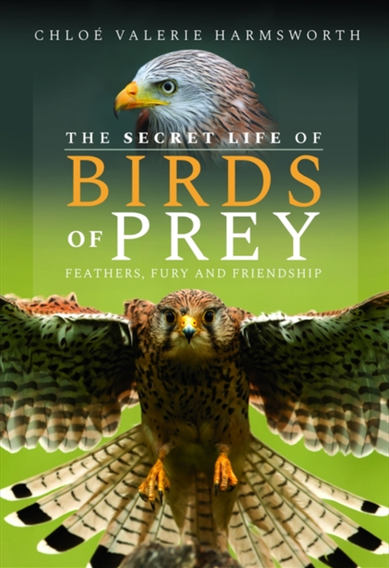 The Secret Life Of Birds Of Prey : Feathers, Fury And Friendship/Product Detail/Animals & Nature