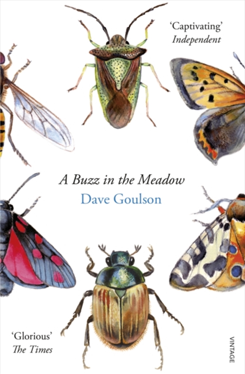 A Buzz In The Meadow/Product Detail/Animals & Nature