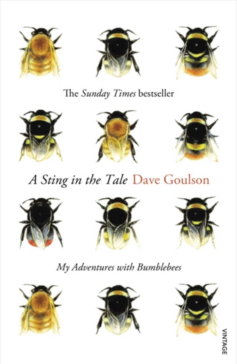 A Sting In The Tale : My Adventures With Bumblebees/Product Detail/Animals & Nature