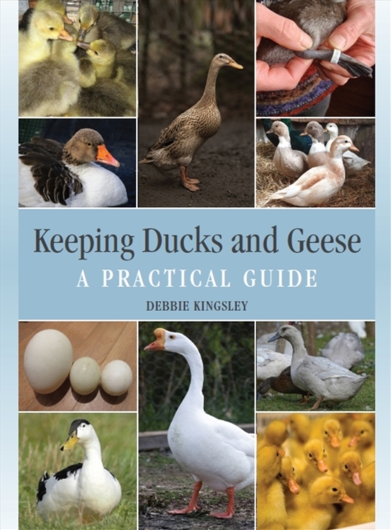 Keeping Ducks And Geese : A Practical Guide/Product Detail/Animals & Nature